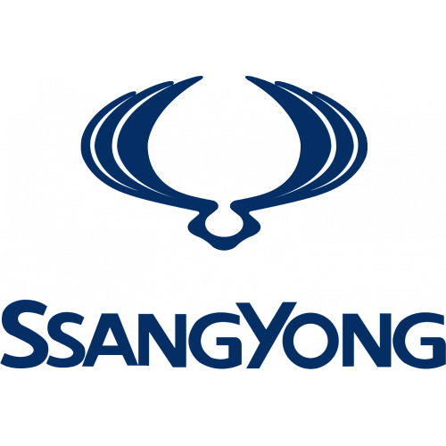 SSANG YONG